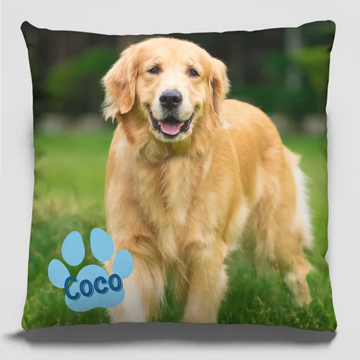 Custom "All You Need is Love & a Pet" Pillow – Personalized Gift for Pet Lovers.