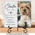 Custom Pet Memorial Stone – Photo Sympathy Gift Printing Joy