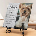 Custom Pet Memorial Stone – Photo Sympathy Gift Printing Joy
