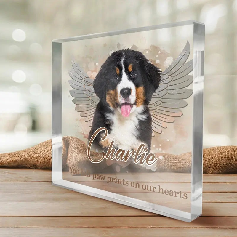 Pets Teach Us The Purest Kind Of Love - Memorial Personalized Custom Square Shaped Acrylic Plaque - Sympathy Gift, Gift For Pet Owners, Pet Lovers Printingjoy