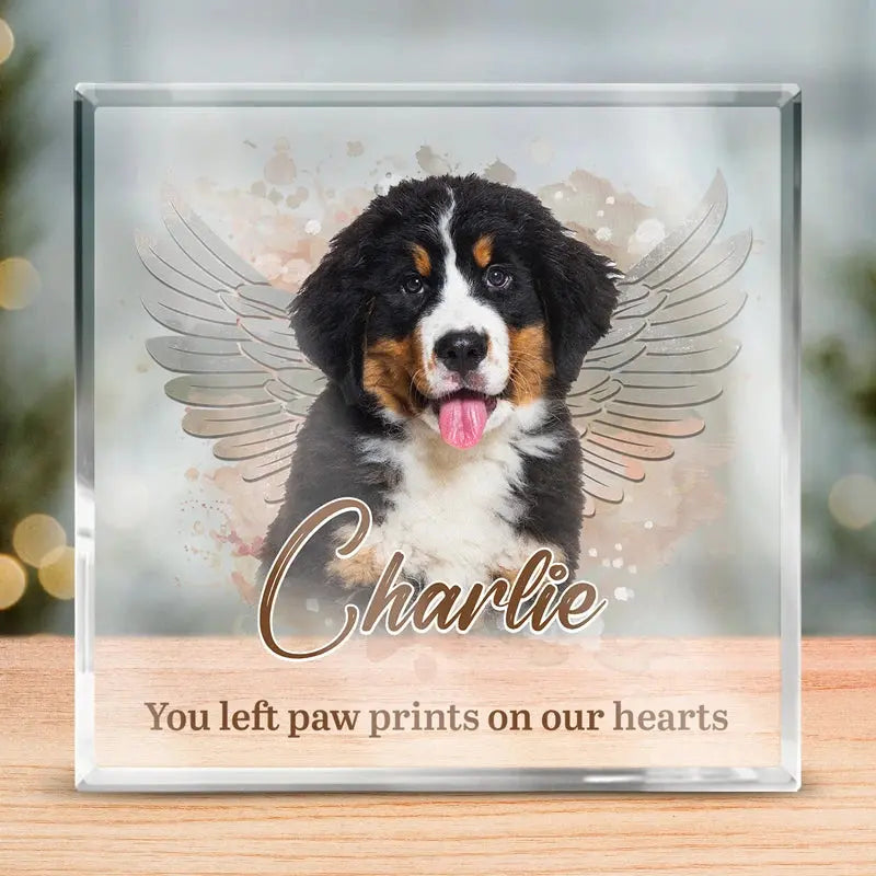 Pets Teach Us The Purest Kind Of Love - Memorial Personalized Custom Square Shaped Acrylic Plaque - Sympathy Gift, Gift For Pet Owners, Pet Lovers Printingjoy