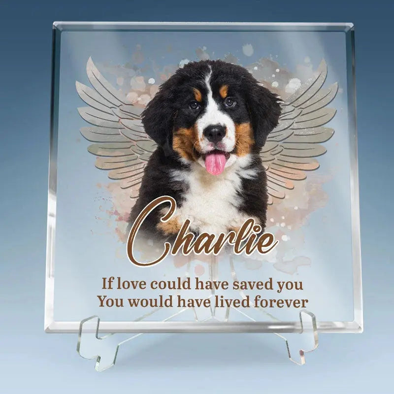 Pets Teach Us The Purest Kind Of Love - Memorial Personalized Custom Square Shaped Acrylic Plaque - Sympathy Gift, Gift For Pet Owners, Pet Lovers Printingjoy