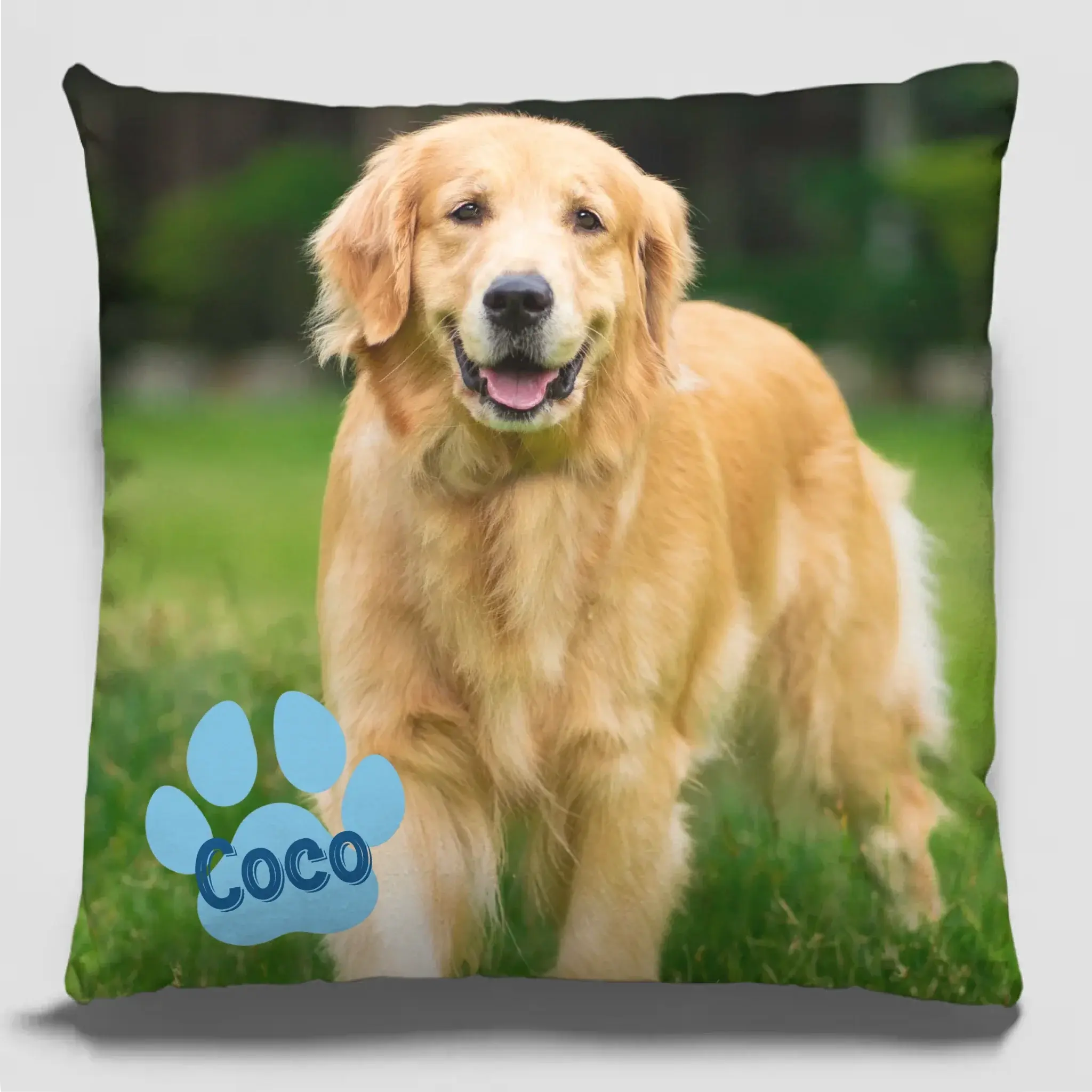 Custom "All You Need is Love & a Pet" Pillow – Personalized Gift for Pet Lovers.